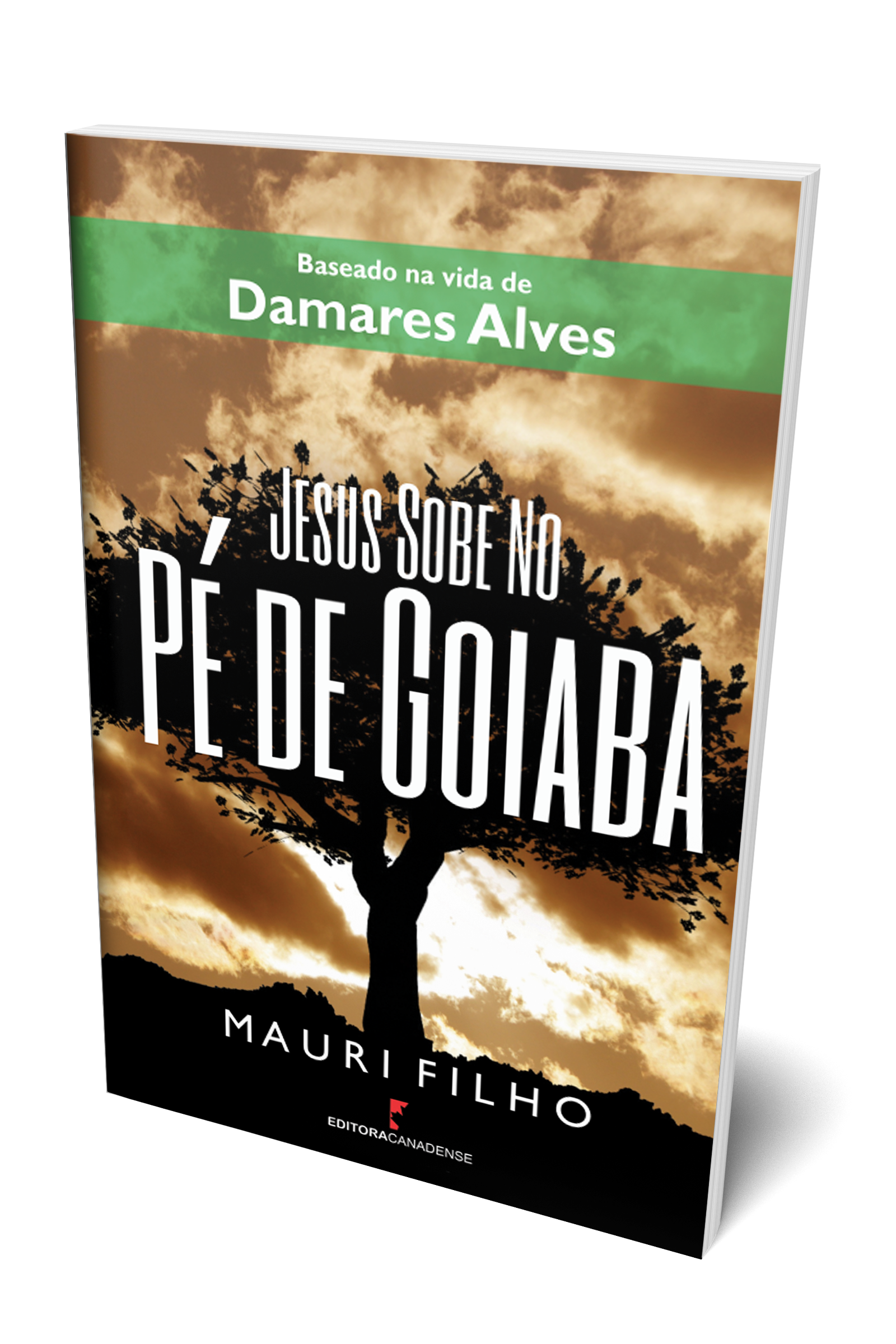 Jesus sobe no pé de goiaba